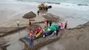 Anggota Prefektur Angkatan Laut Argentina dan para sukarelawan menutupi paus bungkuk dengan kain agar tetap hidup di Mar del Plata, Argentina (9/4). Sayangnya paus bungkuk tersebut tidak dapat diselamatkan. (AP / Pablo Hugo Funes)