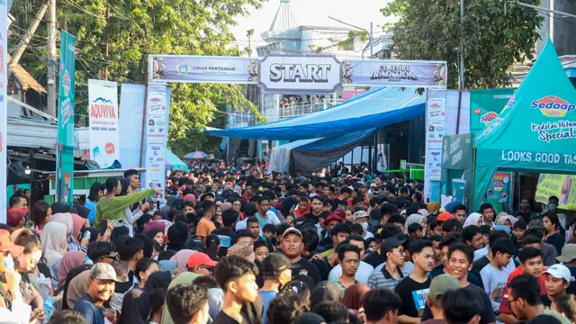 Qurban Runner.