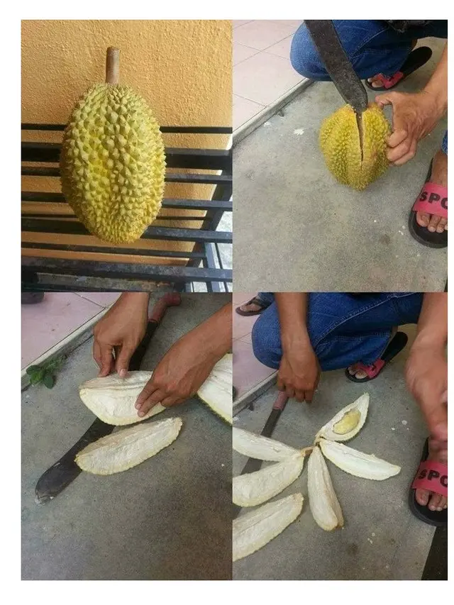 6 Potret Isi Durian Ini Nyeleneh Banget, Bikin Terheran-Heran