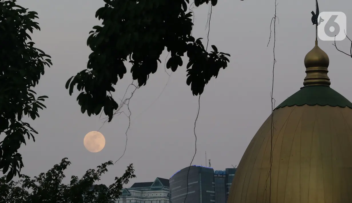Fenomena ini bisa disaksikan secara langsung dengan mata tanpa menggunakan alat apapun. (Liputan6.com/Angga Yuniar)