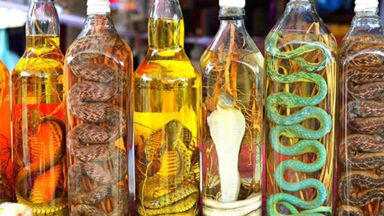 Bayi Tikus hingga Urin Sapi, 6 Minuman Ekstrem dari Organ Hewan di Dunia