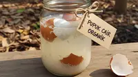 Cara Membuat Pupuk Organik dari Air Cucian Beras dan Cangkang Telur untuk Pohon Buah Naga
