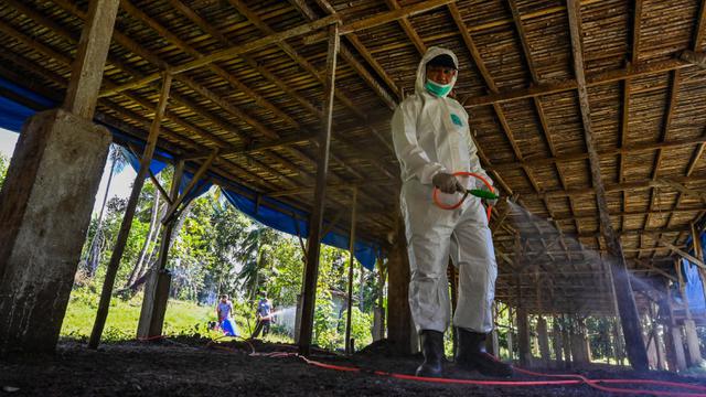 Pemeriksaan Kesehatan Unggas Antisipasi Flu Burung di Aceh Besar