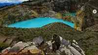 Monyet ekor panjang di TN Kelimutu, Nusa Tenggara Timur (NTT) (dok.instagram/@btn_kelimutu/https://www.instagram.com/p/CPMi6oNHfmO/Komarudin)