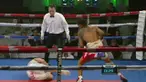 Aksi konyol Marcos Gabriel Martinez yang pura pura terjatuh saat melawan Braulioi Rodriguez pada laga perebutan gelar WBC kelas bulu super di Montevideo, Uruguay, Selasa (11/8/2015).