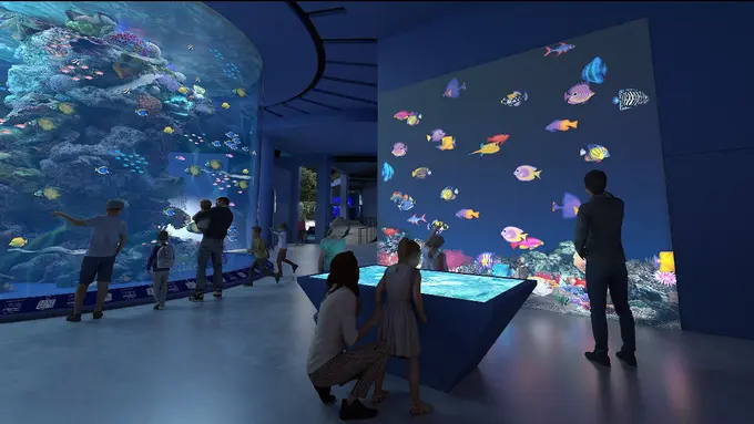 Liburan dengan Pengalaman Bawah Laut di Singapore Oceanarium