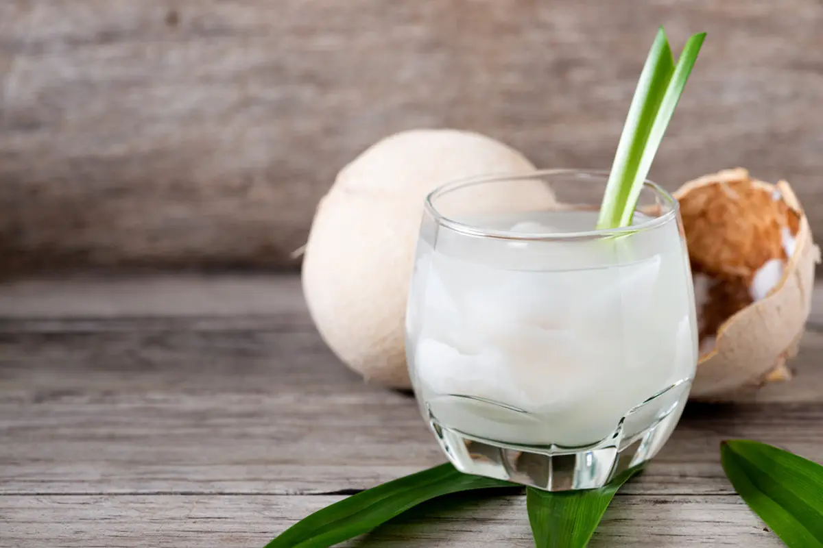 ilustrasi manfaat air kelapa muda/Regreto/shutterstock