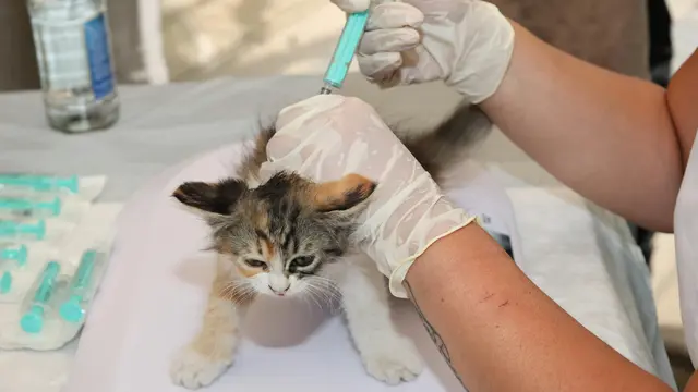 Rutin Cek Kondisi Kesehatan