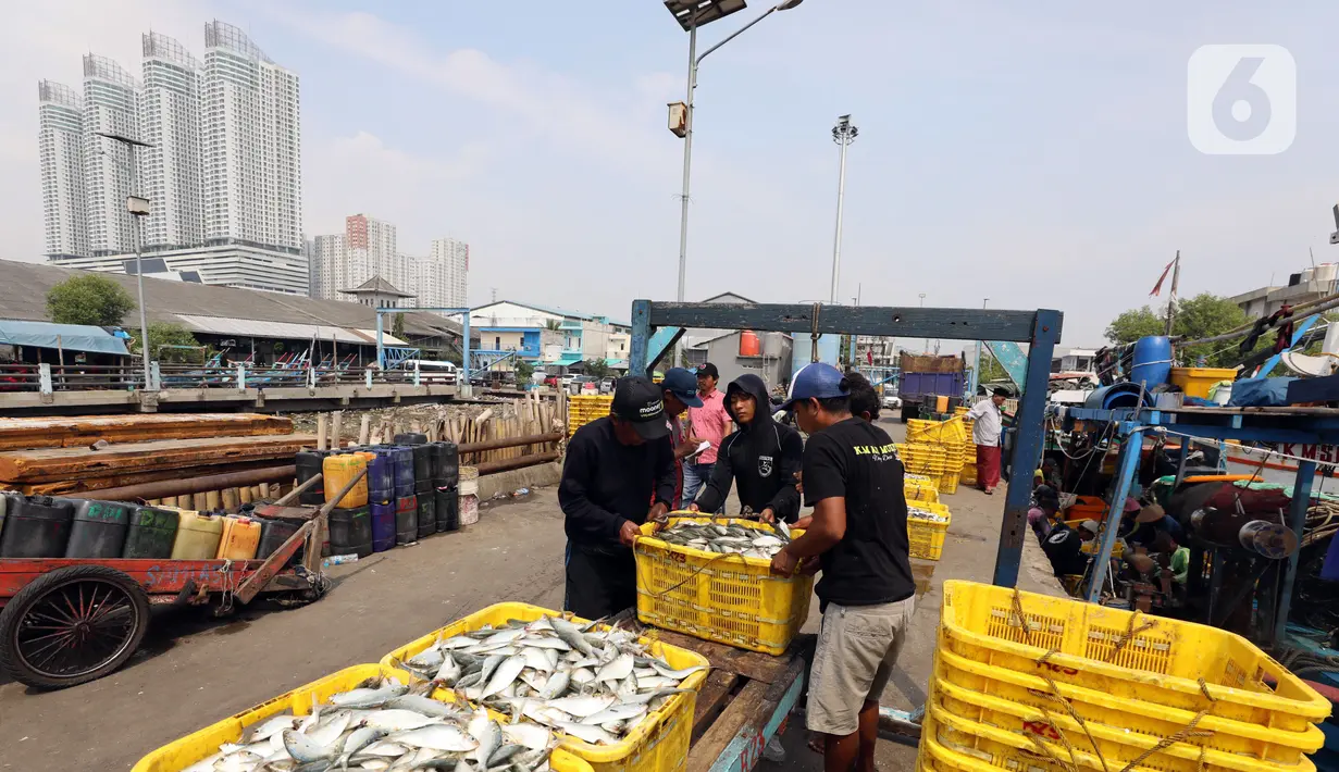 Kementarian Kelautan dan Perikanan (KKP) juga menargetkan pertumbuhan PDB perikanan rata-rata di angka 4,00-5,00 persen. (Liputan6.com/Angga Yuniar)