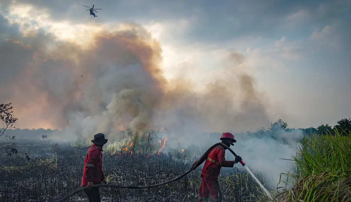 Petugas pemadam kebakaran memadamkan kebakaran hutan di lahan gambut Ogan Ilir, Sumatera Selatan, pada 26 September 2025. (AL ZULKIFLI/AFP)