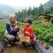 7 Rekomendasi Kebun Stroberi di Bandung, Bisa Petik dan Bawa Pulang Buah Segar