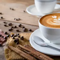 ilustrasi jenis kopi/Teerapong mahawan/shutterstock