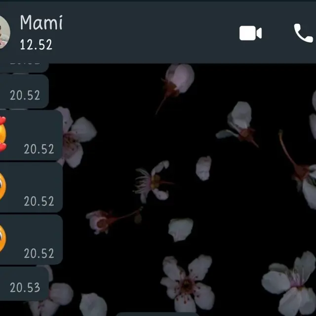 6 Chat Ibu ke Anaknya Tapi Dibalas Singkat Ini Bikin Senyum Tipis