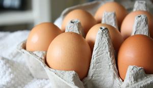 Ilustrasi Wadah Telur. (Foto: Morgane Perraud/Unsplash)