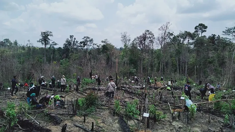 Menanam Pohon di Hutan Harapan