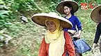 Mulanya warga Baduy, Banten, tidak terlalu mengikuti penyuluhan kesehatan yang dilakukan bidan Ros Rosita. Belakangan, mereka malah ikut membantu tugas sang bidan. 