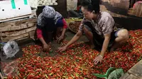 Mendag Enggar: Saya Tidak Akan Impor Cabai