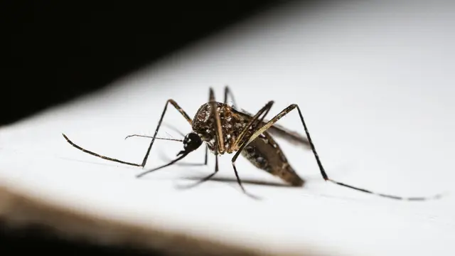 Membersihkan Saluran Air