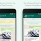 WhatsApp Business API, layanan antarmuka pemrograman WhatsApp untuk bisnis berskala besar (Foto: WhatsApp)