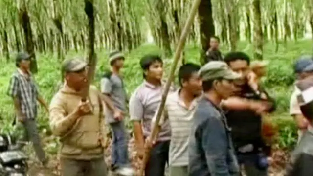 [VIDEO] Akibat Sengketa Lahan, Warga Hadang Buruh Panen Getah