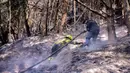 Kebakaran hutan yang terjadi di Kolombia membuat pemerintah setempat mengumumkan bencana pada Kamis (25/1/2024). (VANNESSA JIMENEZ/AFP)