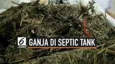 Sebanyak 82 kilogram ganja berhasil diamankan Direktorat Reserse Narkoba Polda Banten. Puluhan kilogram ganja tersebut disembunyikan di dalam septic tank rumah salah satu pelaku inisial Ju (48) di Kampung Padurung Wetan, Desa Sukamenak, Kecamatan Cik...