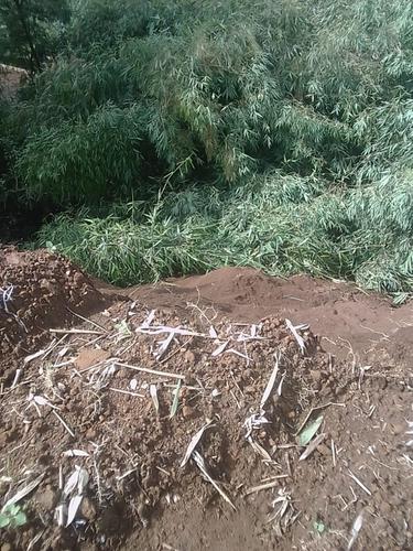 Longsor menutup akses jalan utama antara Banjarnegara menuju objek wisata Dieng dan sebaliknya. (Foto: Liputan6.com/RAPI BNA/ Muhamad Ridlo)