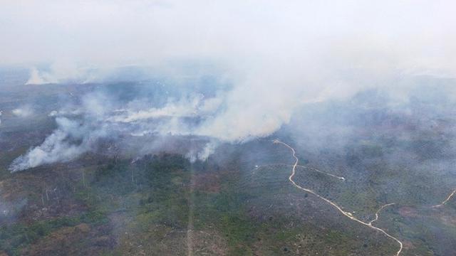 Asap Tebal Kebakaran Hutan Di Riau Berpotensi Masuk Ke Malaysia Regional Liputan6 Com