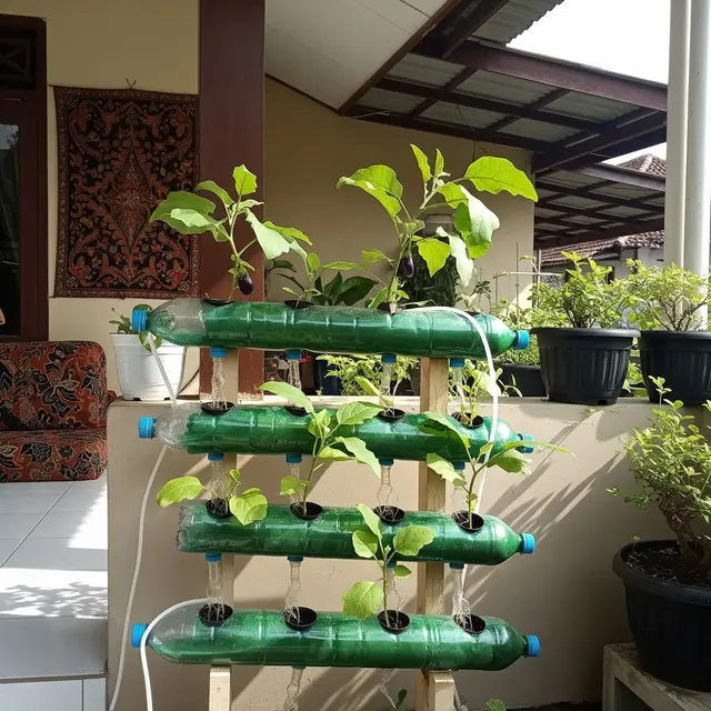 Ide Kebun Terong Vertikal dari Botol Plastik di Teras Rumah