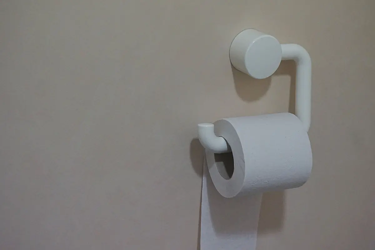 toilet