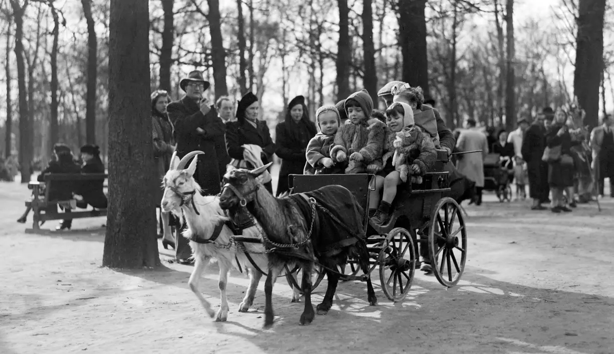 Anak-anak menikmati jalan-jalan naik kereta yang ditarik oleh kambing di The Champs Elysées Avenue, Paris, Prancis, 23 Maret 1947. (AFP)