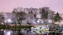 Gambar eksposur panjang ini menunjukkan bunga sakura yang mekar terlihat saat malam hari di Taman Inokashira di Tokyo, Jepang (29/3/2022). (AFP/Philip Fong)
