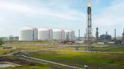 Harga LNG Turun, Industri Keramik Siap Ekspansi Rp 10 Triliun