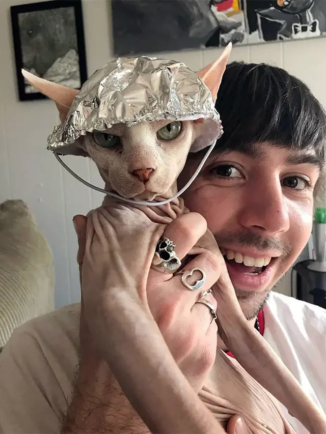 7 Potret Kucing Pakai Topi Aluminium Foil Berbagai Bentuk Ini Bikin Gemas