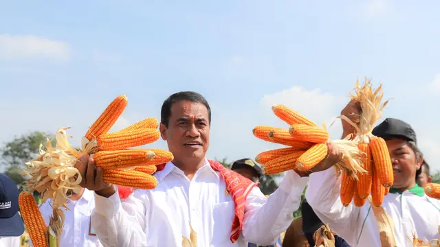Mentan Amran Genjot Produksi Jagung di Kota Medan, Optimis Bisa Hentikan Kran Impor