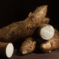 Ilustrasi Singkong / by freepik