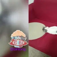 Layaknya Manusia, Kucing Ini Tidur dengan Bantal dan Selimut