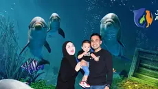 Lagi dan lagi, Nathalie Holscher memamerkan kemesraan dengan pria yang selama ini dijuluki papah sayang. Kini, pria yang disapa papahsayang telah memperkenalkan diri sebagai Fariz Utama. Setelah beberapa hari lalu mengunggah foto makan malam bareng di restoran mewah, kini keduanya kencan di Jakarta Aquarium. Seperti apa? (Foto: Dok. Instagram @nathalieholscher)