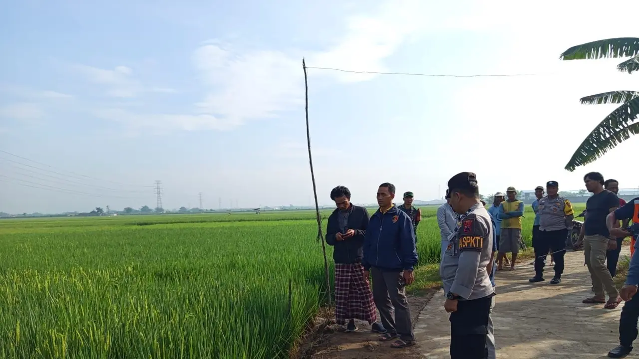 Aparat Polres Kudus olah TKP di sawah saat korban tewas tersengat listrik.