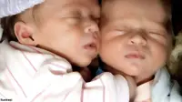 Punya Anak Kembar Dambaan Para Calon Orangtua