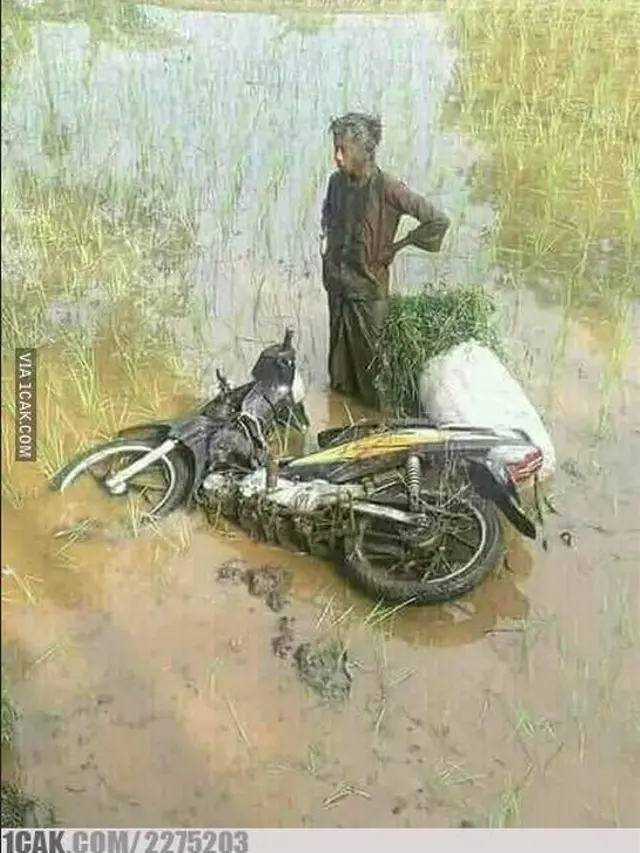 6 Potret Orang Naik Motor Nyungsep di Sawah Ini Apes Banget, Jadi Kasihan