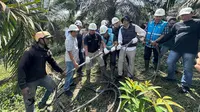 Bareskrim Turun Tangan Selidiki Blackout Sumatera