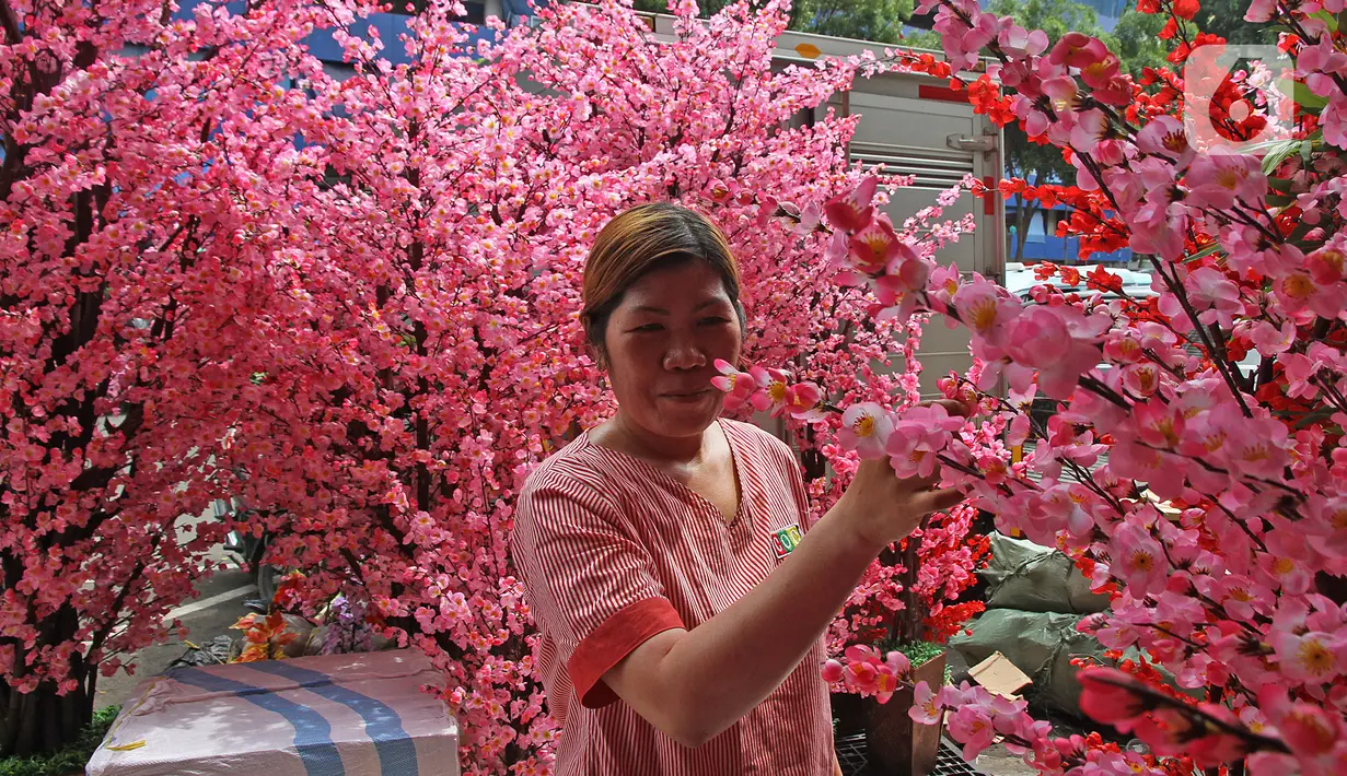 Calon pembeli memilih bunga meihua di kawasan Asemka, Jakarta, Selasa (21/1/2020). Jelang perayaan Tahun Baru Imlek, sejumlah toko di kawasan Asemka mulai menjajakan bunga meihua. (Liputan6.com/Herman Zakharia)