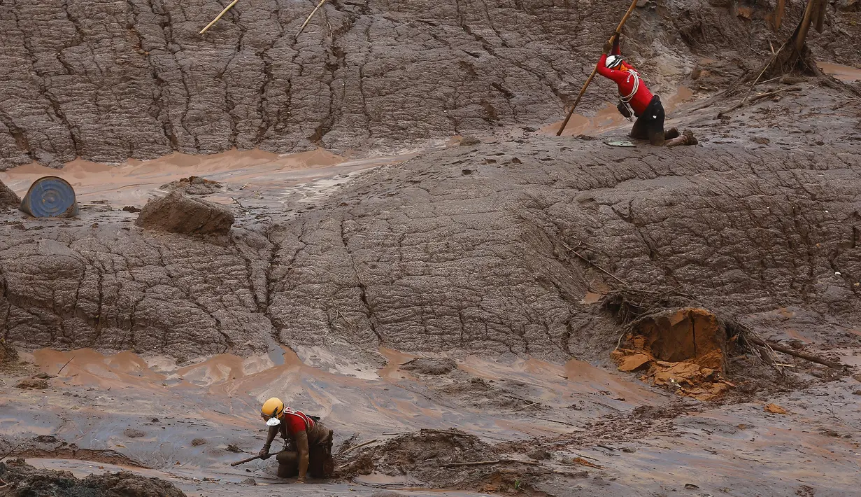 Petugas mencari korban yang hilang akibat bendungan yang dimiliki oleh Vale SA dan BHP Billiton Ltd hancur dan menhantam kawasan Mariana, Brazil, (8/11/2015).  Satu orang tewas dan puluhan orang hilang akibat peristiwa ini. (REUTERS/Ricardo Moraes)