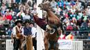 Seorang Gaucho berusaha menaklukan kuda liar dalam Criolla del Prado di Montevideo, Uruguay, Rabu (12/4). Di kota Montevideo acara minggu rodeo diadakan sejak 1925. (AP/Matilde Campodonico)