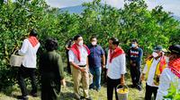 Presiden Jokowi meninjau kegiatan penanganan Jalan Liang Melas Datas, Kabupaten Karo, Provinsi Sumatera Utara yang merupakan akses menuju kawasan penghasil jeruk, Kampung Jeruk, Jumat (4/2/2022). (Biro Pers Sekretariat Presiden)