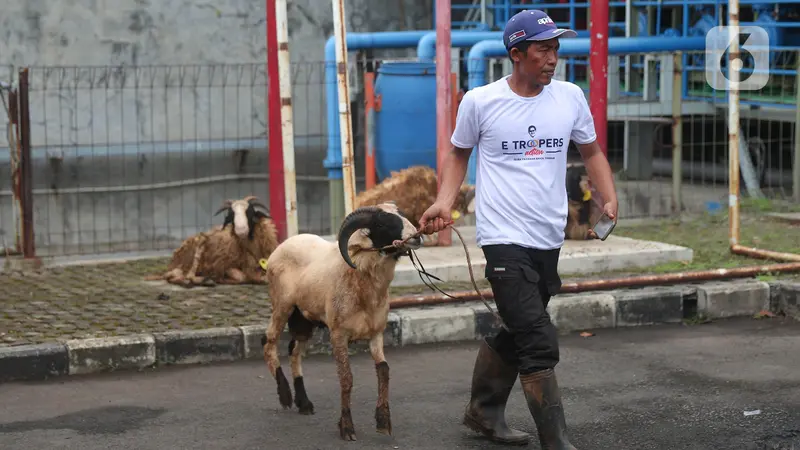 SCM Serahkan 65 Hewan Kurban untuk Masyarakat