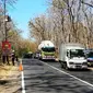 Satlantas Polres Situbondo mulai memasang rambu- rambu  rawan lakalantas di area hutan Taman Nasional Baluran (Istimewa)