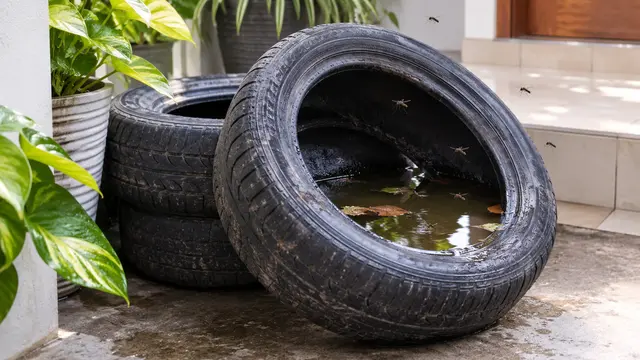 Barang di Teras yang Diam-Diam Mengundang Nyamuk