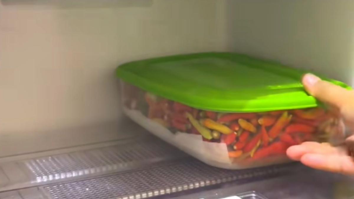 Tips Menyimpan Cabai di Kulkas agar Tahan Lama dan Tetap Segar